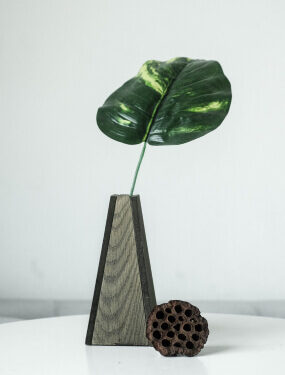 Unique Wooden Vase