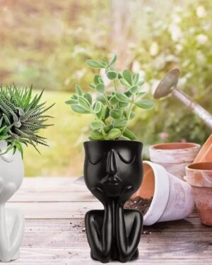 Ceramic Succulent Pot