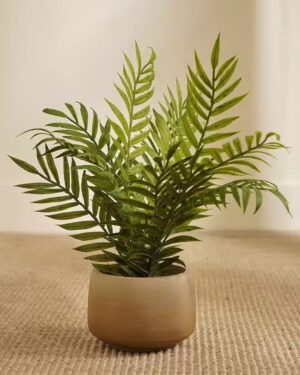Artificial Fern in Pot
