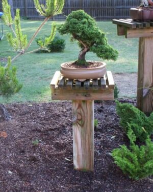 Bonsai Wooden Stand