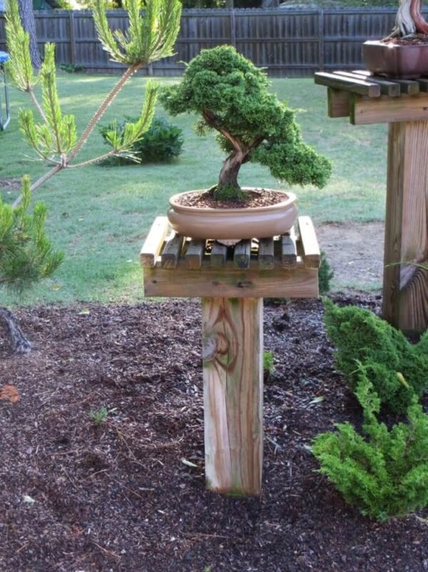 Bonsai Wooden Stand