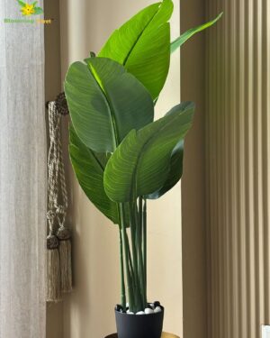 Decorative Leaf Pot