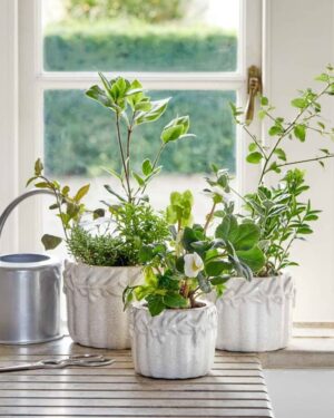 Rustic Green Plant Pot