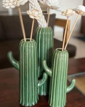 Modern Cactus Vase