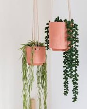 Hanging Terracotta Pot
