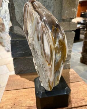 Polished Wooden Sculpture