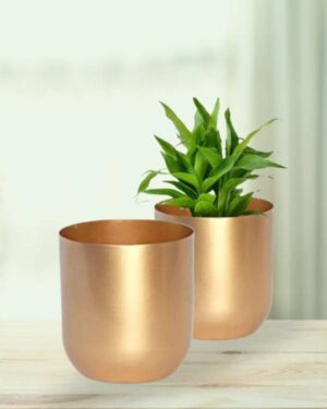 Shiny Golden Pot